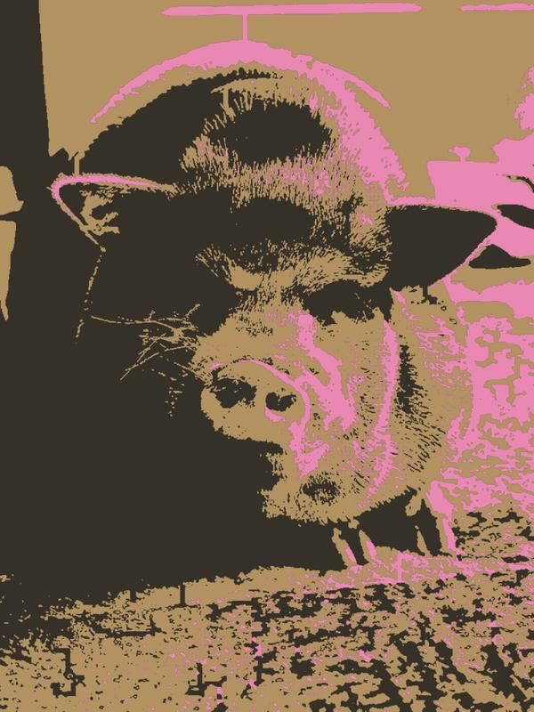 Barney Content Piggy: example finished result