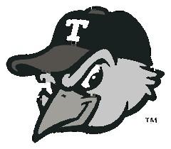 T-Bird Mascot: example finished result
