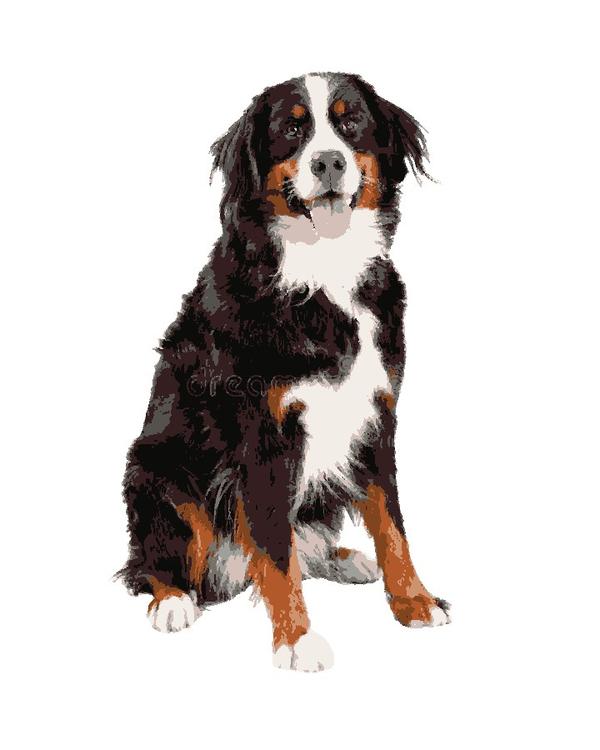 Doggy: example finished result