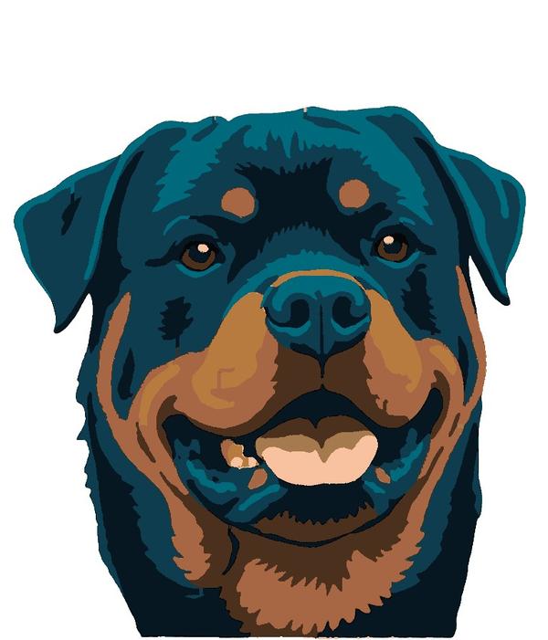 Rotti: example finished result