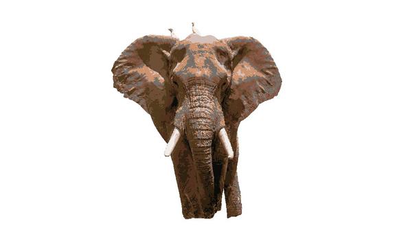 Savanna Sentinel: example finished result