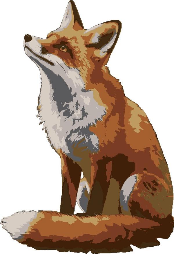 Red Fox Gaze: example finished result