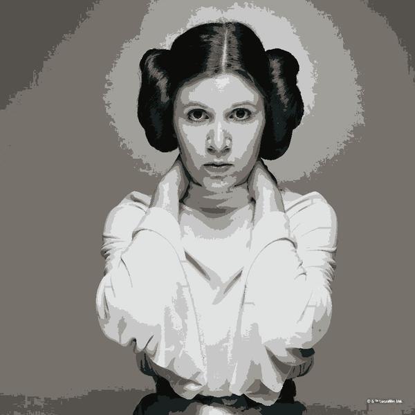 Rebel Princess Leia: example finished result