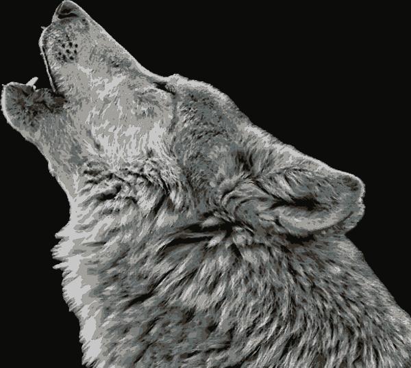 Howl at the moon: example finished result