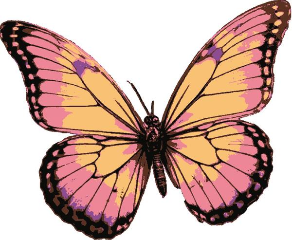 Sunset Butterfly: example finished result
